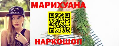 шишки Будённовск