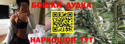 гашик Бузулук