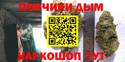 шишки Будённовск