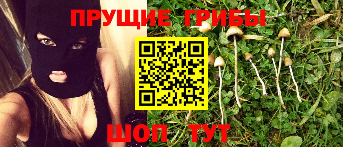 Нефтекамск  Галлюциногенные грибы Cubensis  Галлюциногенные грибы MAGIC MUSHROOMS  Вход с VPN 